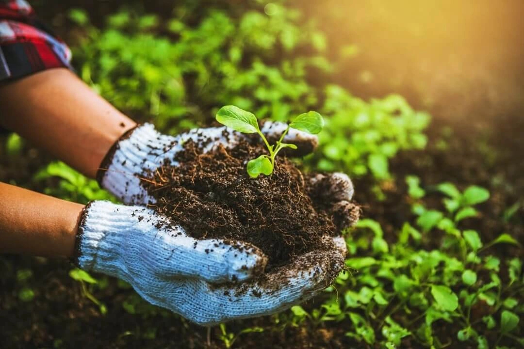 Nos pôles d'expertise AGRIFORLAND